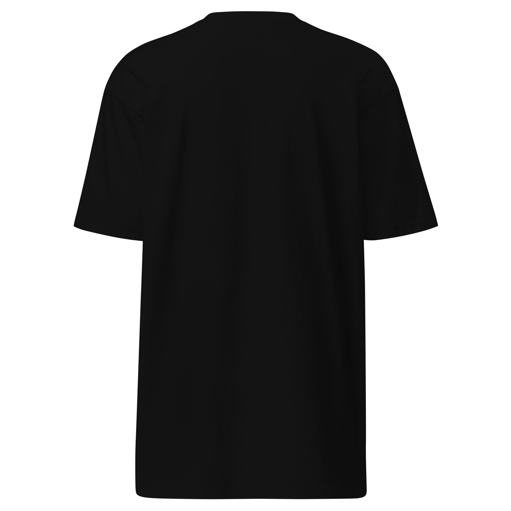 DISCIPLINE tee, back